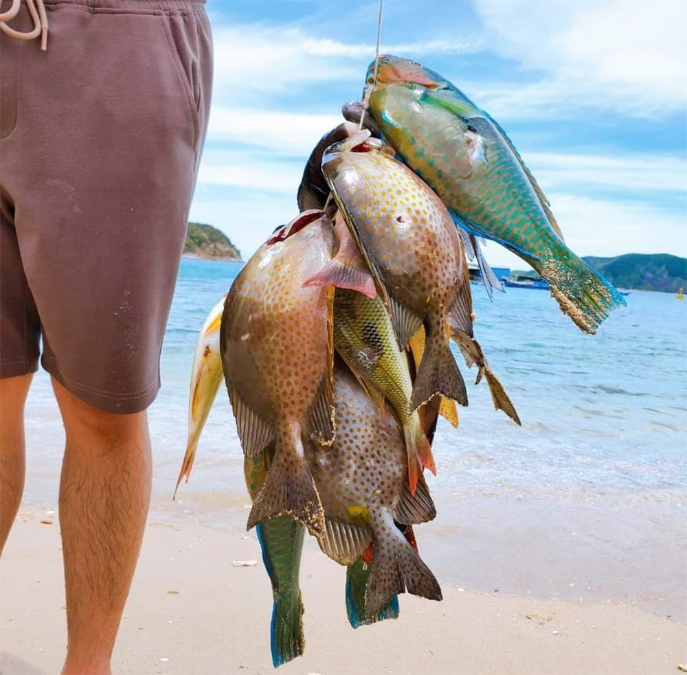 Sea fishing
