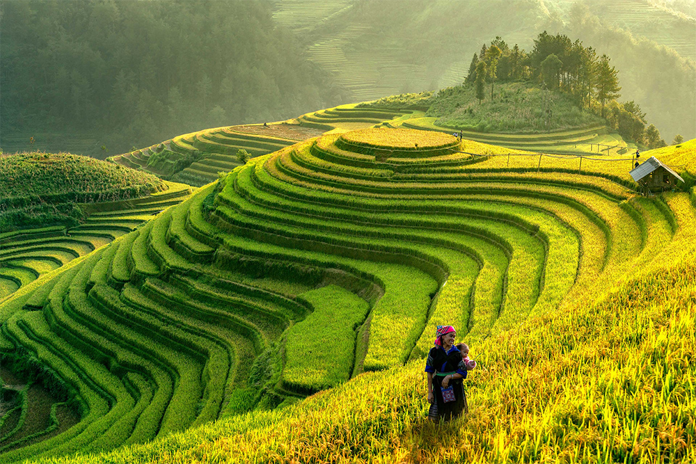 Muong Hoa Valley