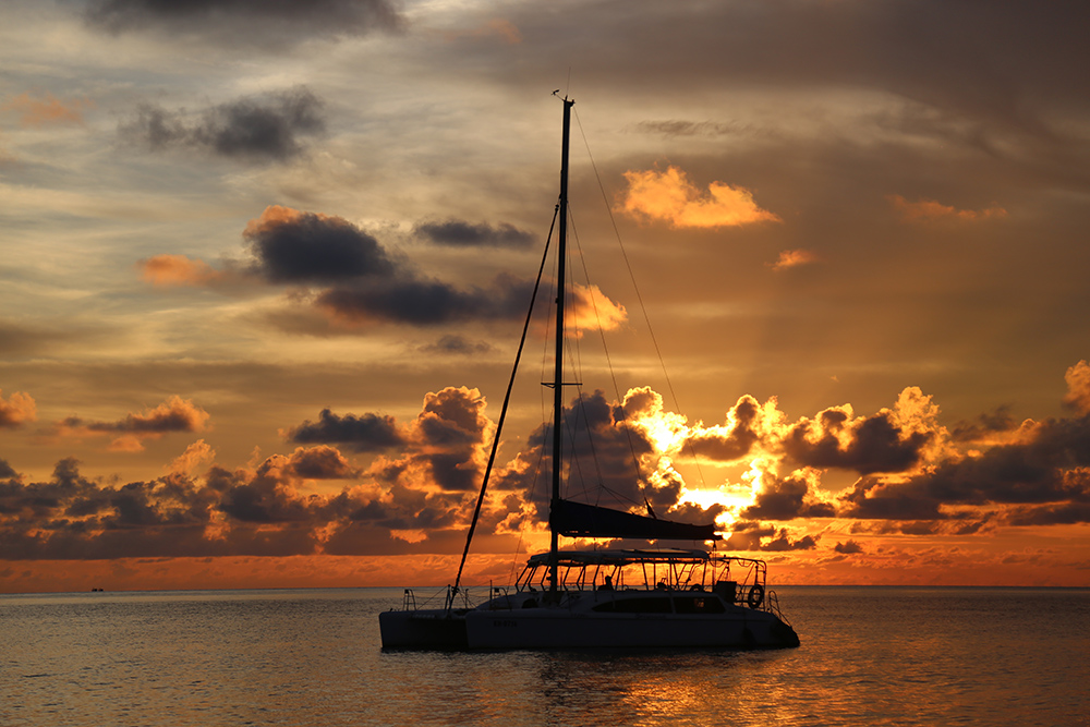 catamaran cruise in vietnam